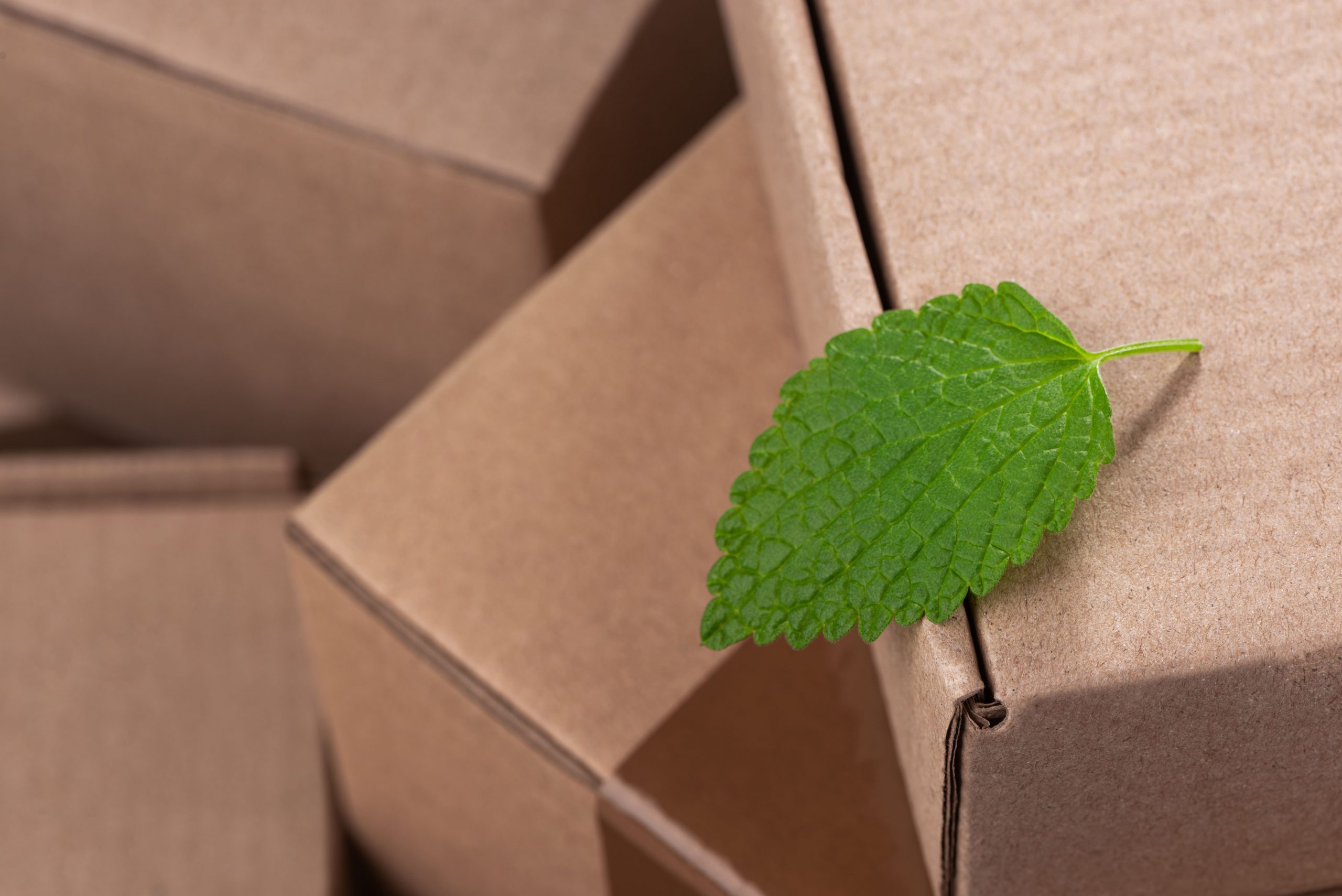 Ways to Use Eco-Friendly Packaging for Your eCommerce Business